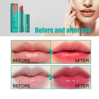 Moisturizing Lip Gloss  Rose Powder