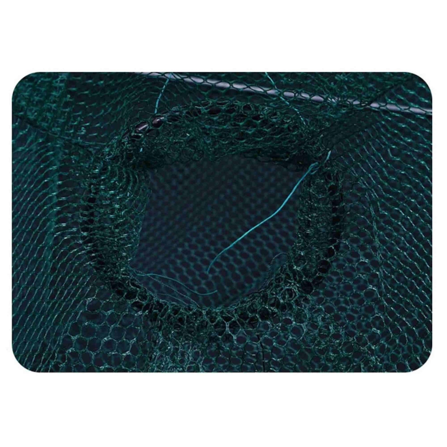 Fishing Bait Trap Fish Net Cast Dip Cage Crab Minnow Crawdad Shrimp Foldable