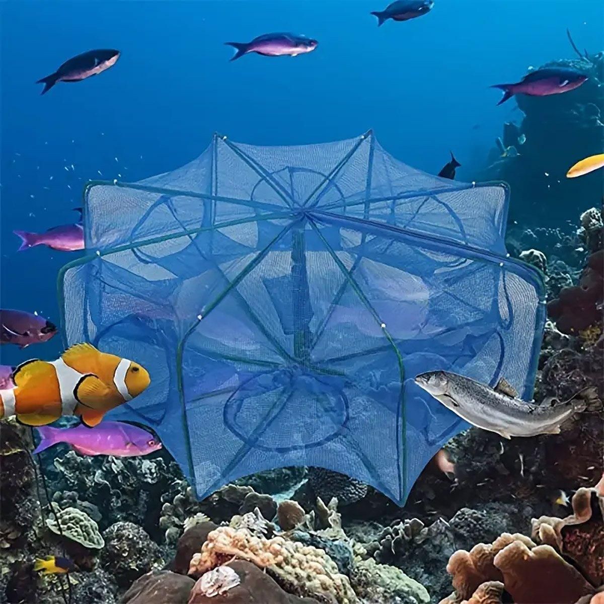 6/8/10 Holes Fishing Net Small Foldable Square Folding Shrimp Eel Lobster Trap - 6Holes