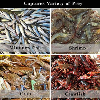6/8/10 Holes Fishing Net Small Foldable Square Folding Shrimp Eel Lobster Trap - 6Holes
